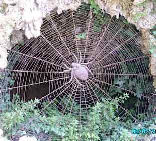 Una ragnatela scenografica