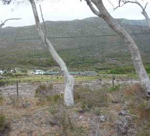 Kap der Guten Hoffnung