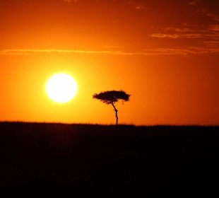 Sonnenaufgang Masei Mara