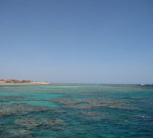 Geilstes Riff ever - nahe Utopia