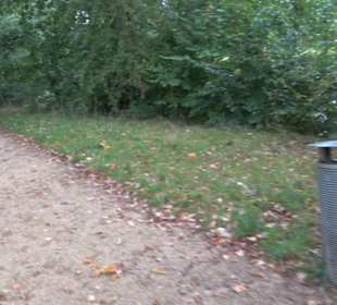 Schlosspark Charlottenburg