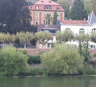 Weisse Flotte Heidelberg 