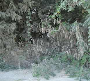 The way to the beach of Narcia