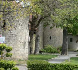 Entlang der Stadtbefestigung von Dettelbach