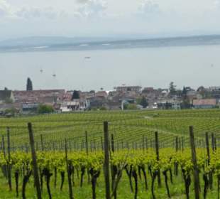Wanderung über Höhenweg von Hagnau nach Meersburg