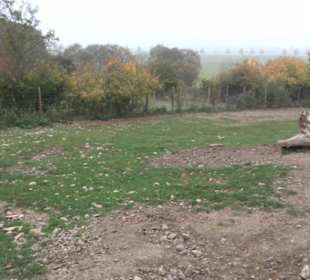 Erlebnisbauernhof und Wildgehege