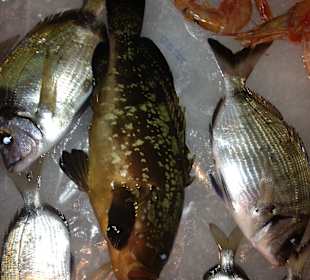 Ristorante Margherita Rimini vacanza holiday