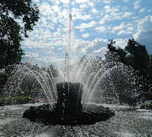 Peterhof