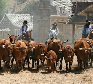 Sioux City - Herde