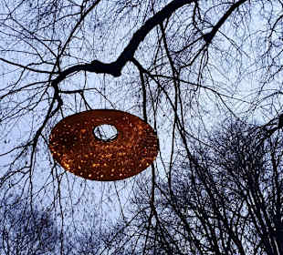 In den Bäumen aufgehängt 