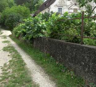 Burgruine Rechtenstein