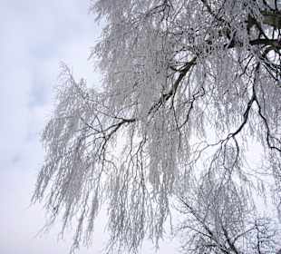 Winterwunderland