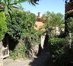 Impressionen aus Castelnou