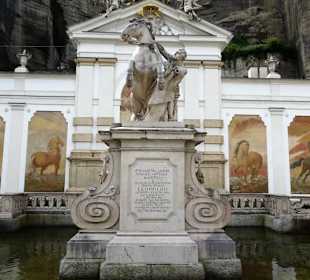Ansichten der Salzburger Pferdeschwemme