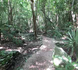 Ausflug mit Daniel zu den Maya Ruinen in Muyil