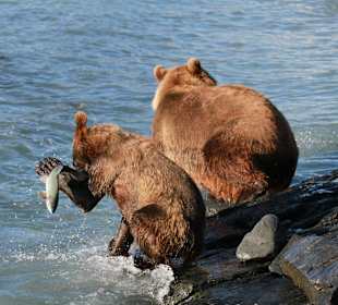 Aller Anfang ist schwer!