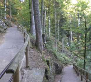 Triberger Wasserfälle