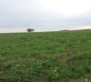Ruine Hassenburg