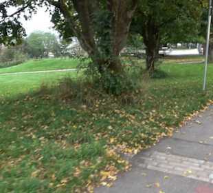 Gallorömischer Tempelbezirk