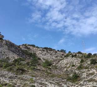 Auf dem Weg