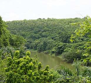 Blick auf Rio de Chavon