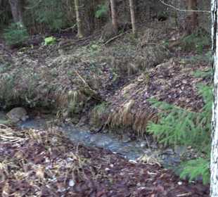 Ochsenweiher Rundweg