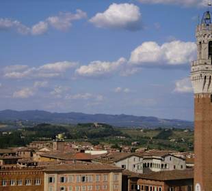 Ausblick auf Rathausturm