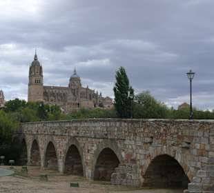 Blick auf die Altstadt von Salamanca