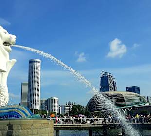 Merlion MBS