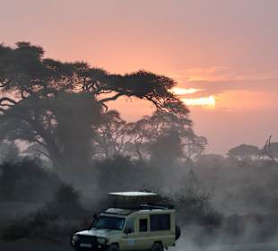Amboseli
