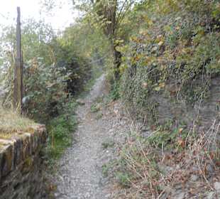 Steiler Pfad bei Beginn