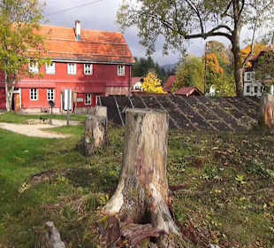 Garten des Holländer Michel