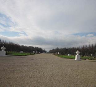 Schlosspark Schwetzingen im Winter