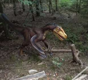 Dinosaurier Museum Altmühltal