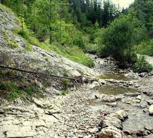 Homole Schlucht/ Jaworki-Ausflug aus Szczawnica
