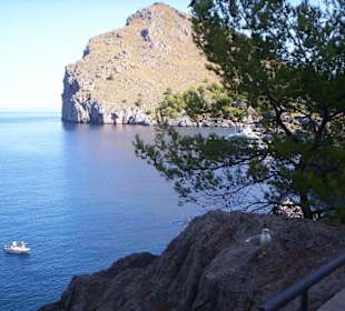 Calobra