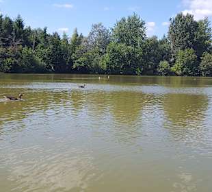 Brunausee Behringen