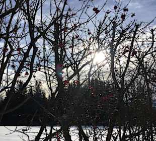 Wandern Neureichenau