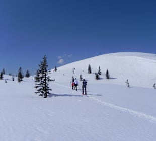 Wandern Schladming
