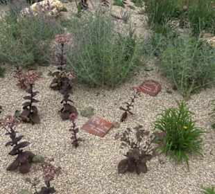 Blühendes Neresheim