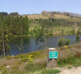 Entlang der Auerhahnkaskaden