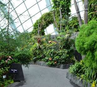 Gardens by the Bay