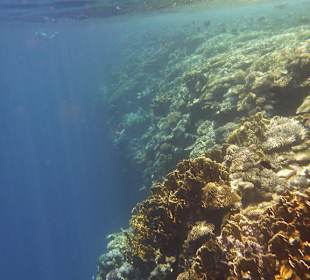 House Reef