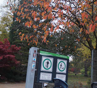 Parkanlage Planten un Blomen