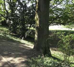 Rheinisches Landesmuseum