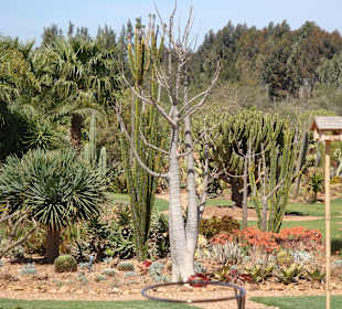 Blick in den schönen Garten