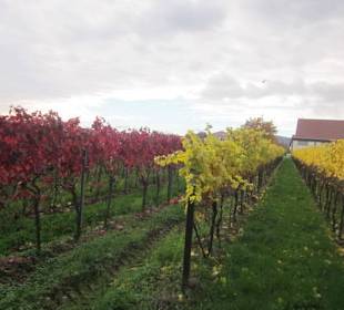 Kirche St. Alban Weinberg