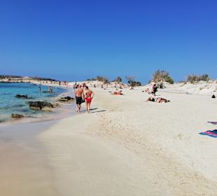 Pink Sand Beach Elafonissi