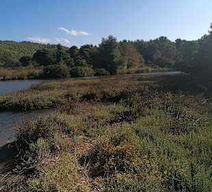 Wandern Skiathos