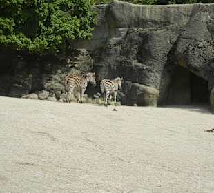 Tierpark Hagenbeck